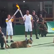 Imagen para el artículo titulado Llevan a un jaguar a una ceremonia de los juegos olímpicos y acaban matándolo a tiros